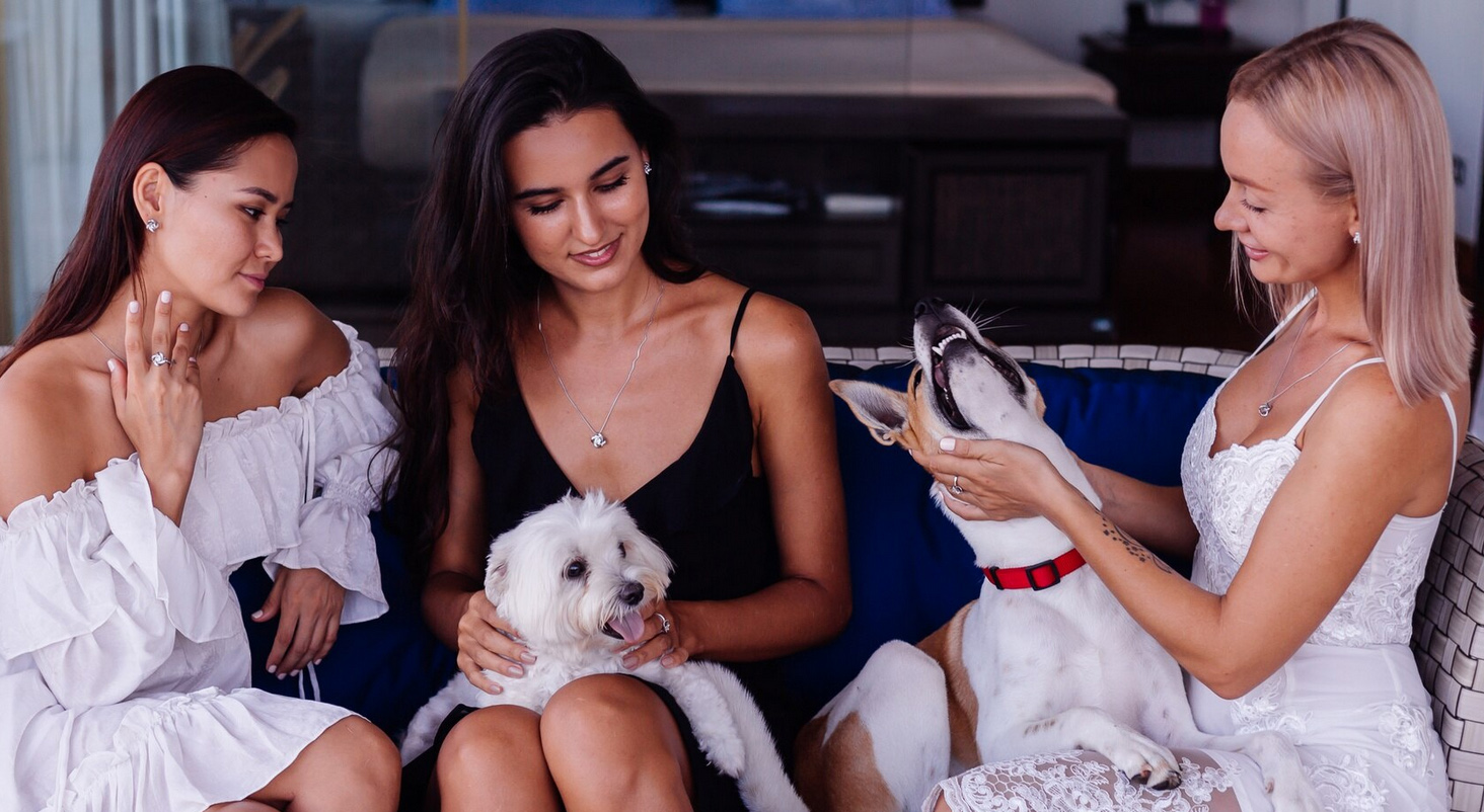 The Evolution of Reality TV: More Real or More Fake?