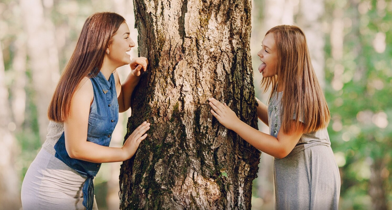 The Hidden Intelligence of Trees: Can They Really Communicate?