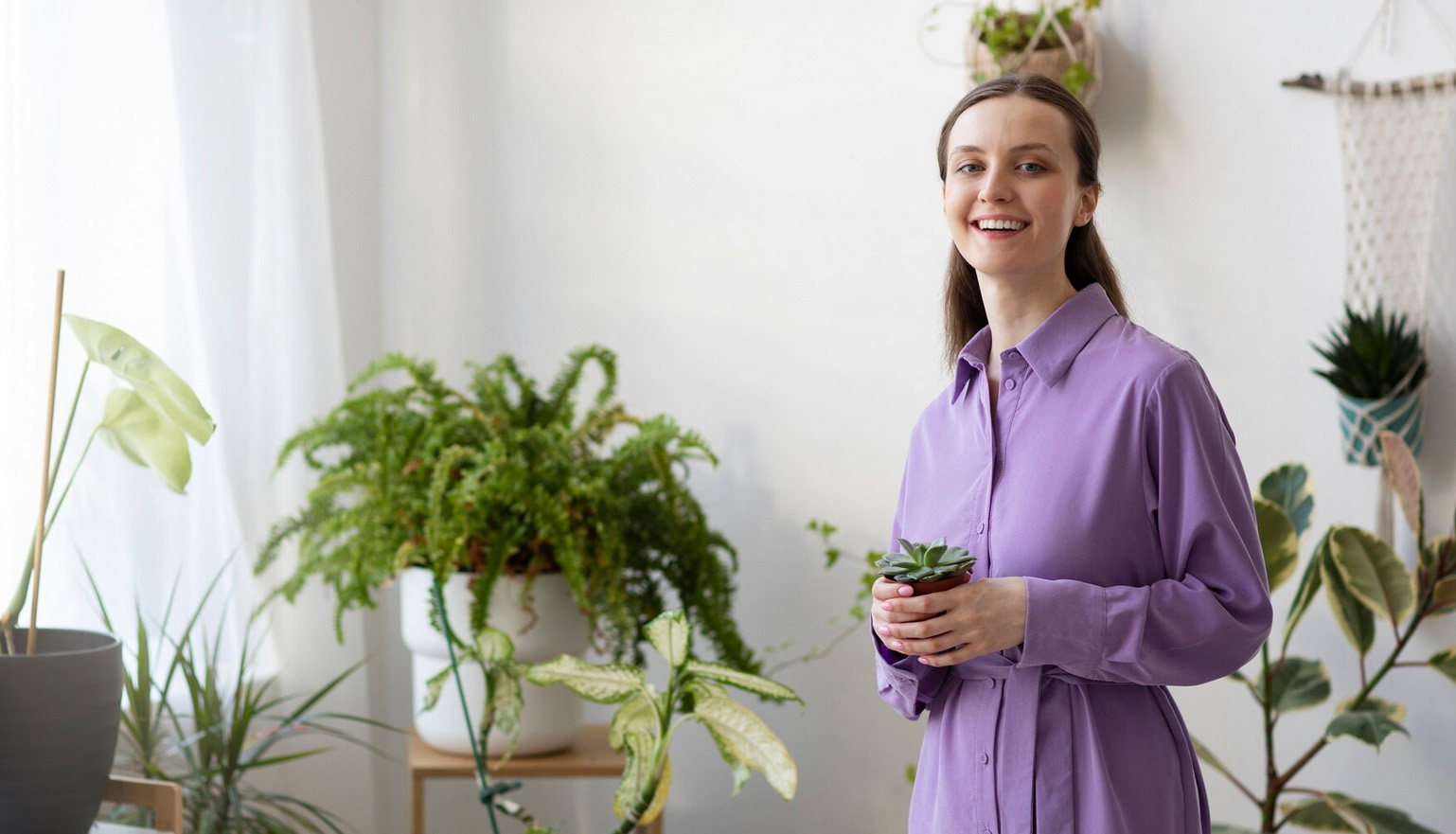 Houseplants as Therapy: Why Greenery Is Good for Your Soul
