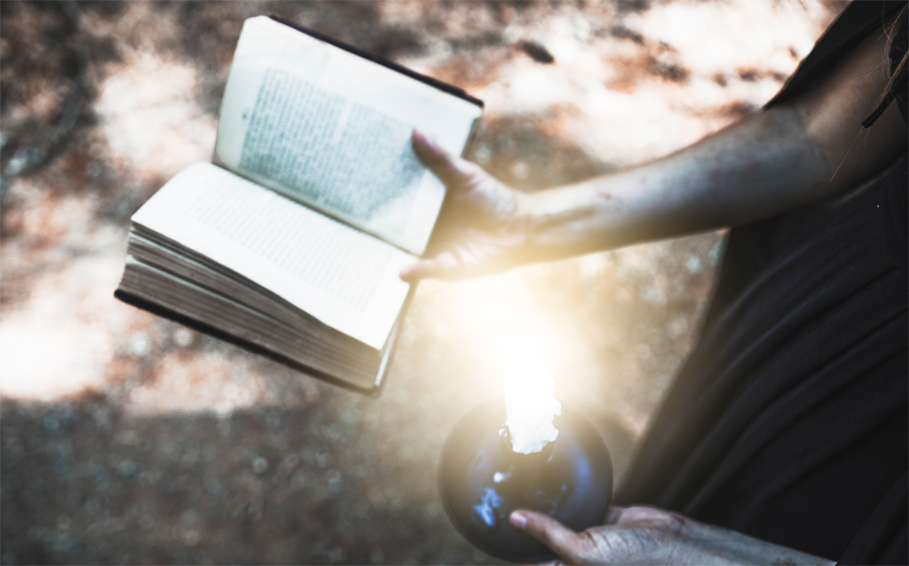 The Power of Narrative: Are Games the New Novels?